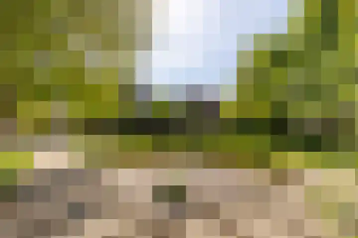 Kritzraedtstraat 8 Sittard thumbnail 30