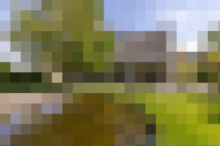Kritzraedtstraat 8 Sittard thumbnail 31