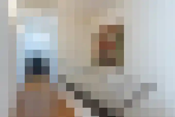 Kritzraedtstraat 8 Sittard thumbnail 39