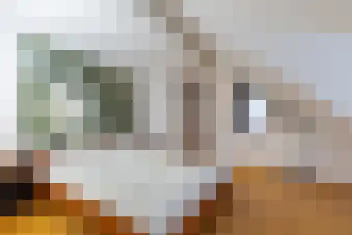 Kritzraedtstraat 8 Sittard thumbnail 43