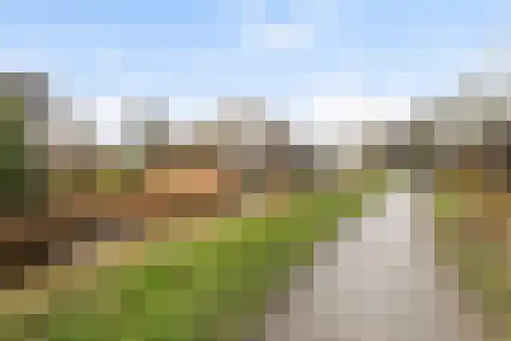 Kroanenburg 2 St.-Annaparochie thumbnail 37
