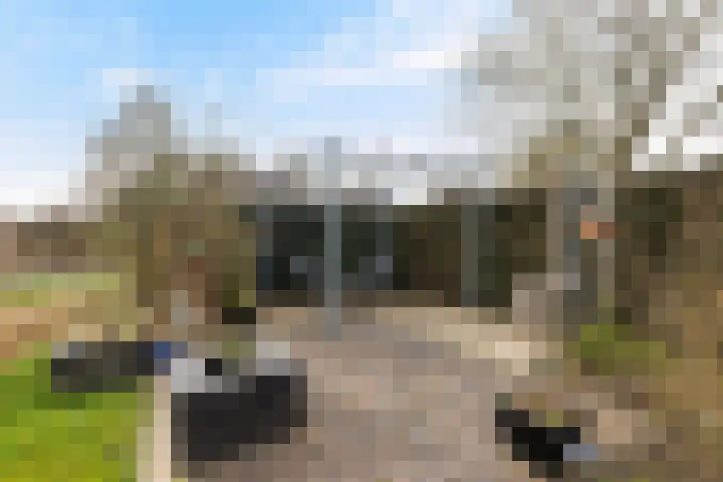 Kroanenburg 2 St.-Annaparochie thumbnail 42