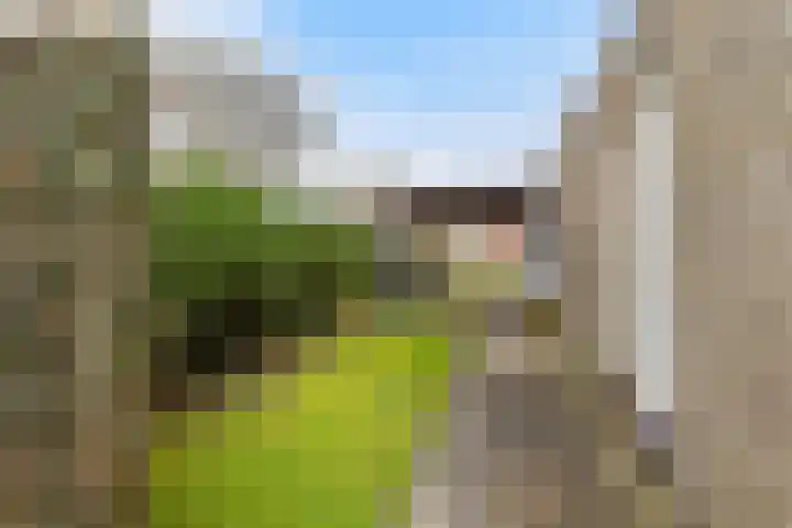 Kroanenburg 2 St.-Annaparochie thumbnail 43