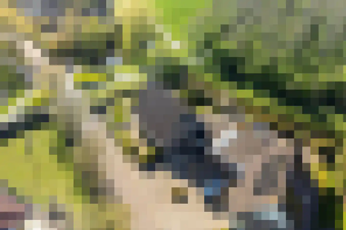 Kroanenburg 35 St.-Annaparochie thumbnail 4