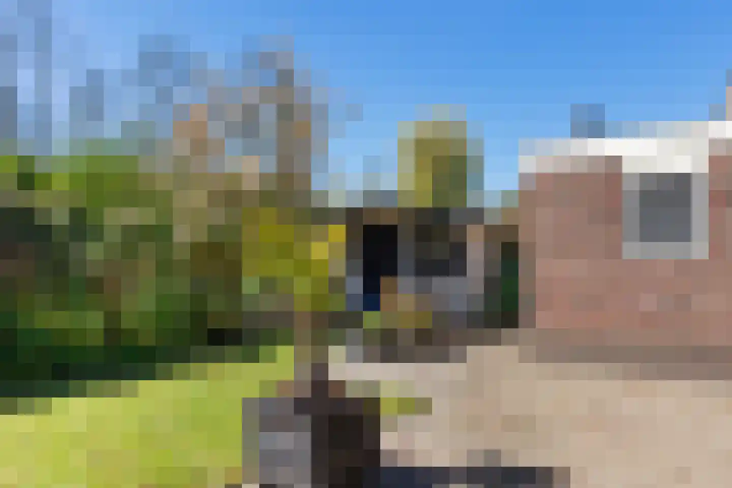 Kroanenburg 35 St.-Annaparochie thumbnail 42