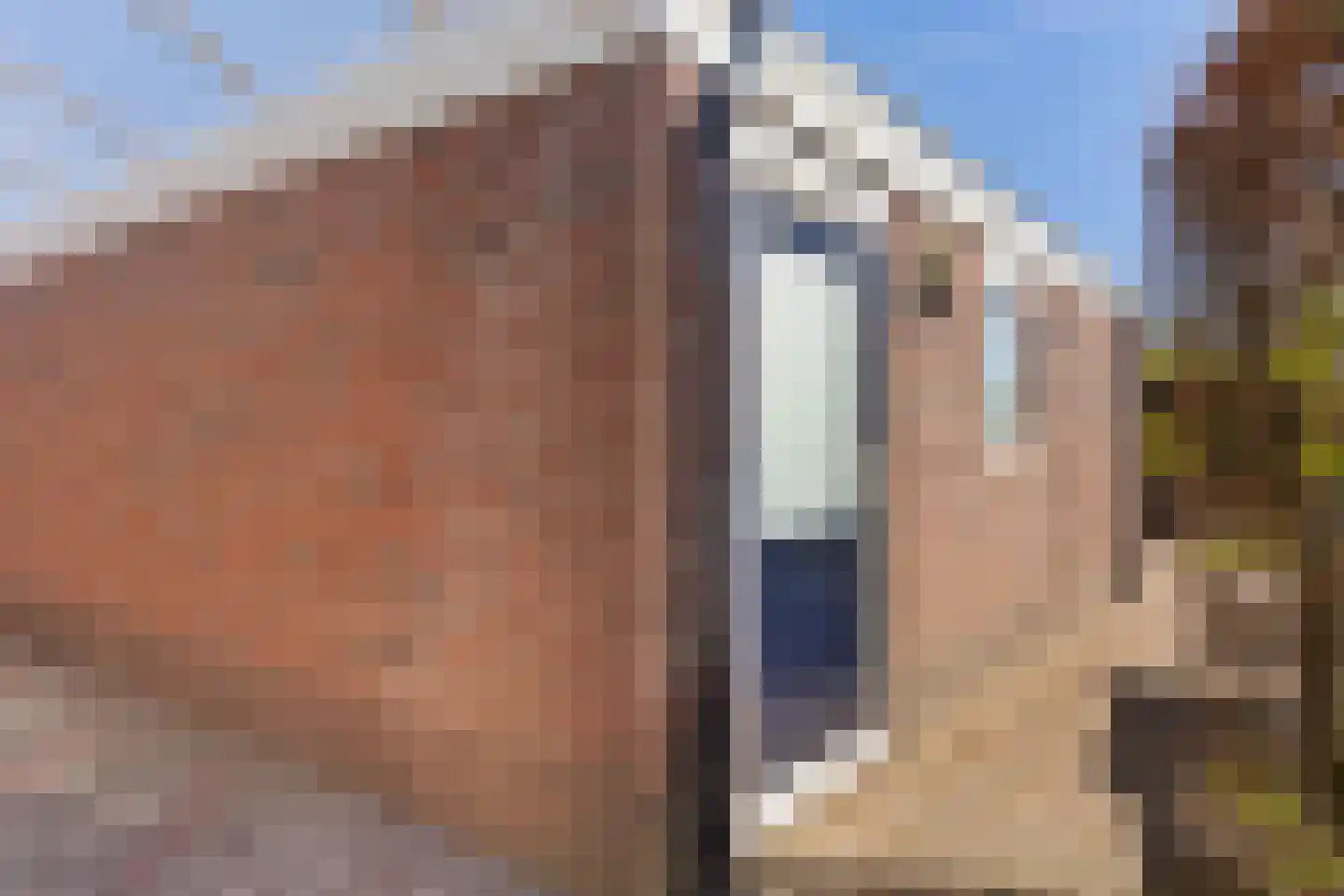 Kroanenburg 35 St.-Annaparochie thumbnail 46