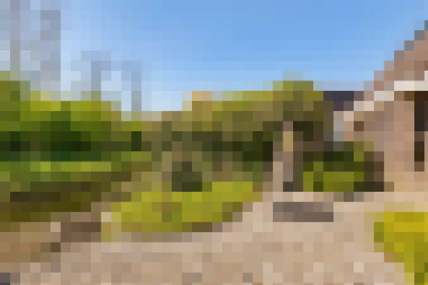 Kroanenburg 35 St.-Annaparochie thumbnail 47