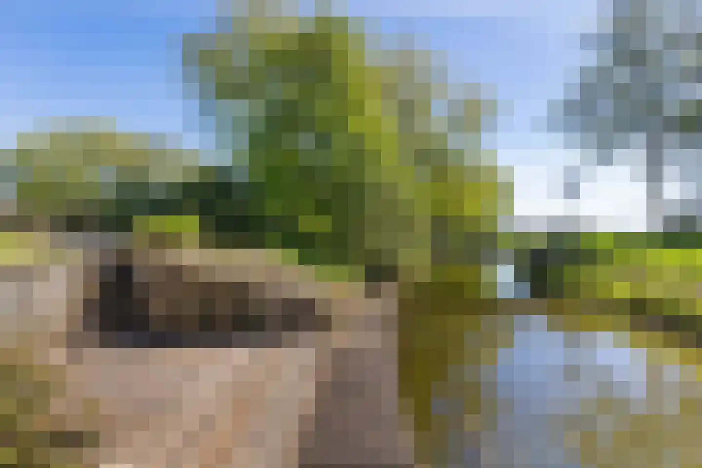 Kroanenburg 35 St.-Annaparochie thumbnail 48