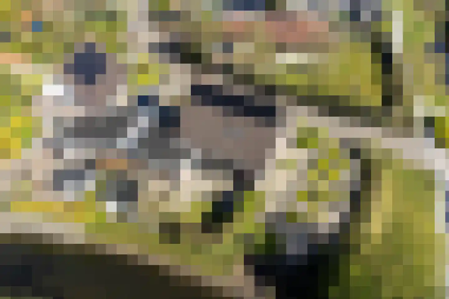 Kroanenburg 35 St.-Annaparochie thumbnail 5