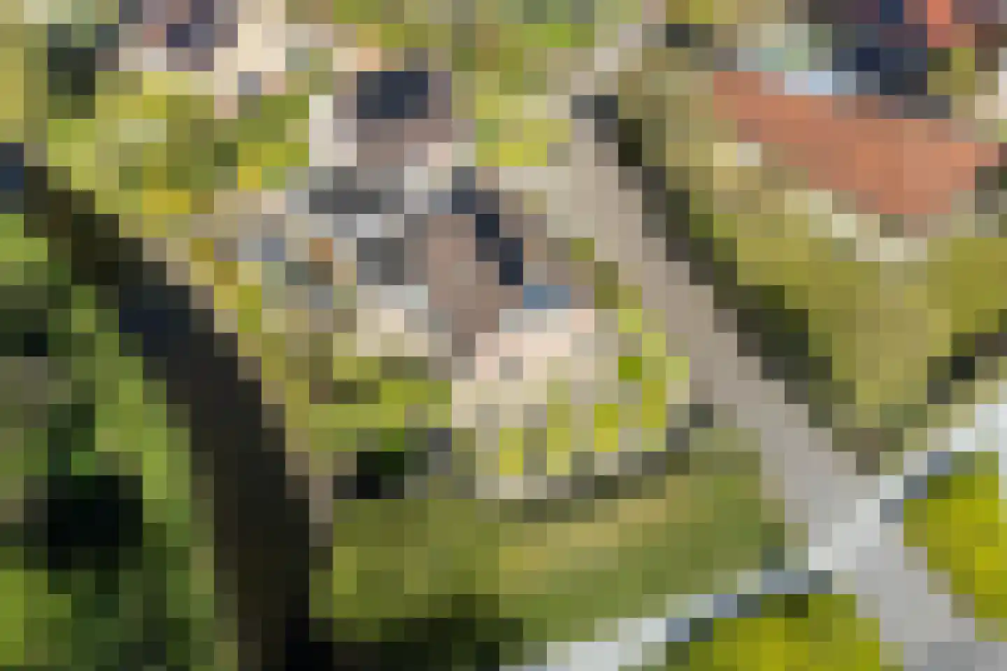 Kroanenburg 35 St.-Annaparochie thumbnail 56