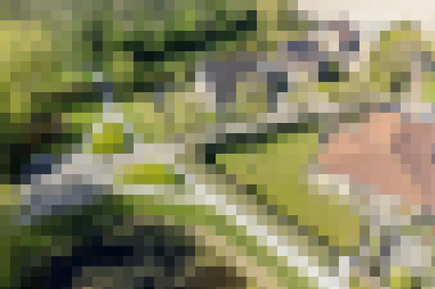 Kroanenburg 35 St.-Annaparochie thumbnail 57