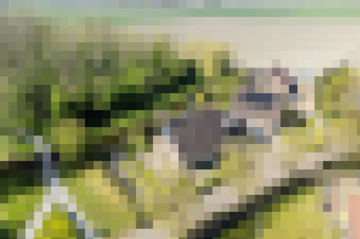 Kroanenburg 35 St.-Annaparochie thumbnail 6