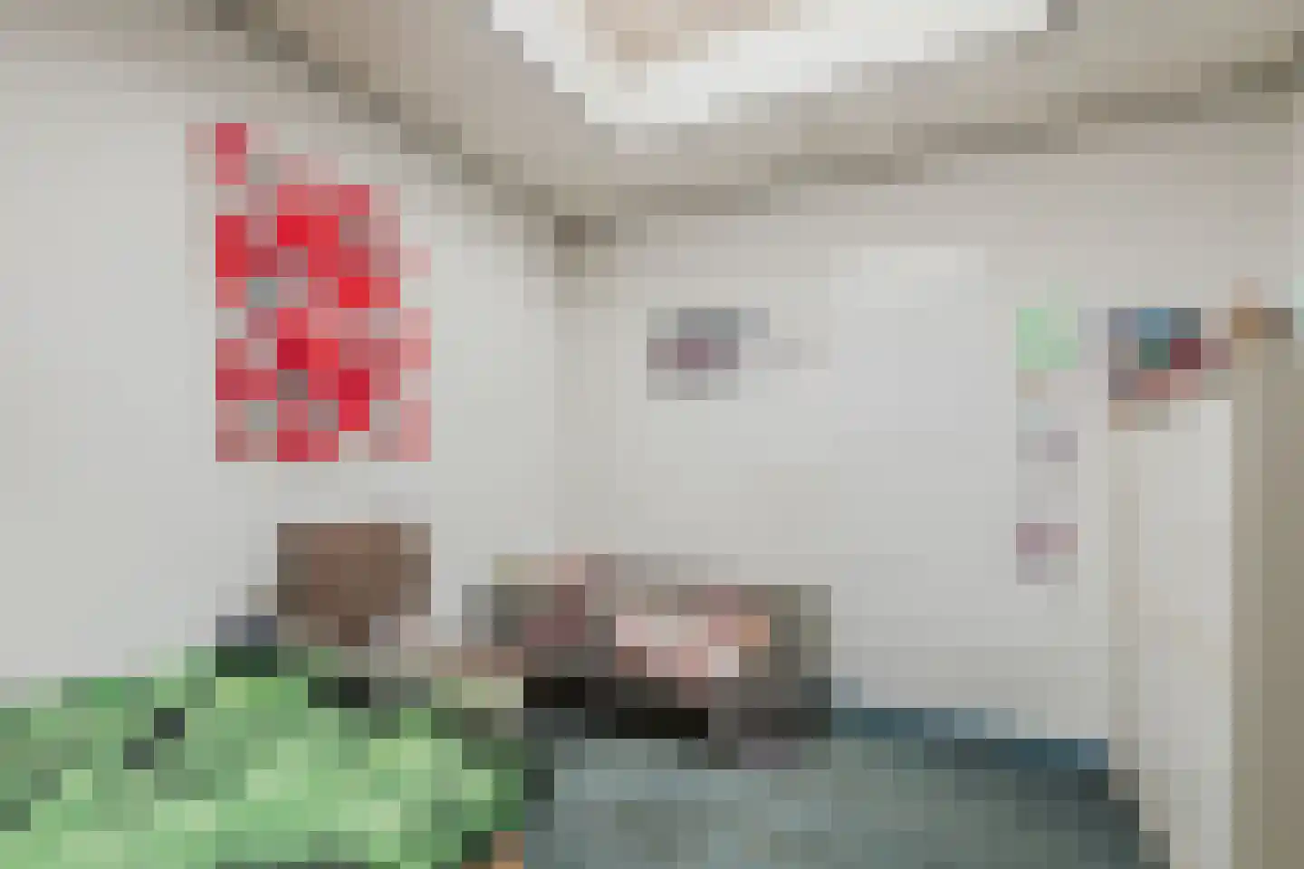 Kroatenstraat 2 Volkel thumbnail 26
