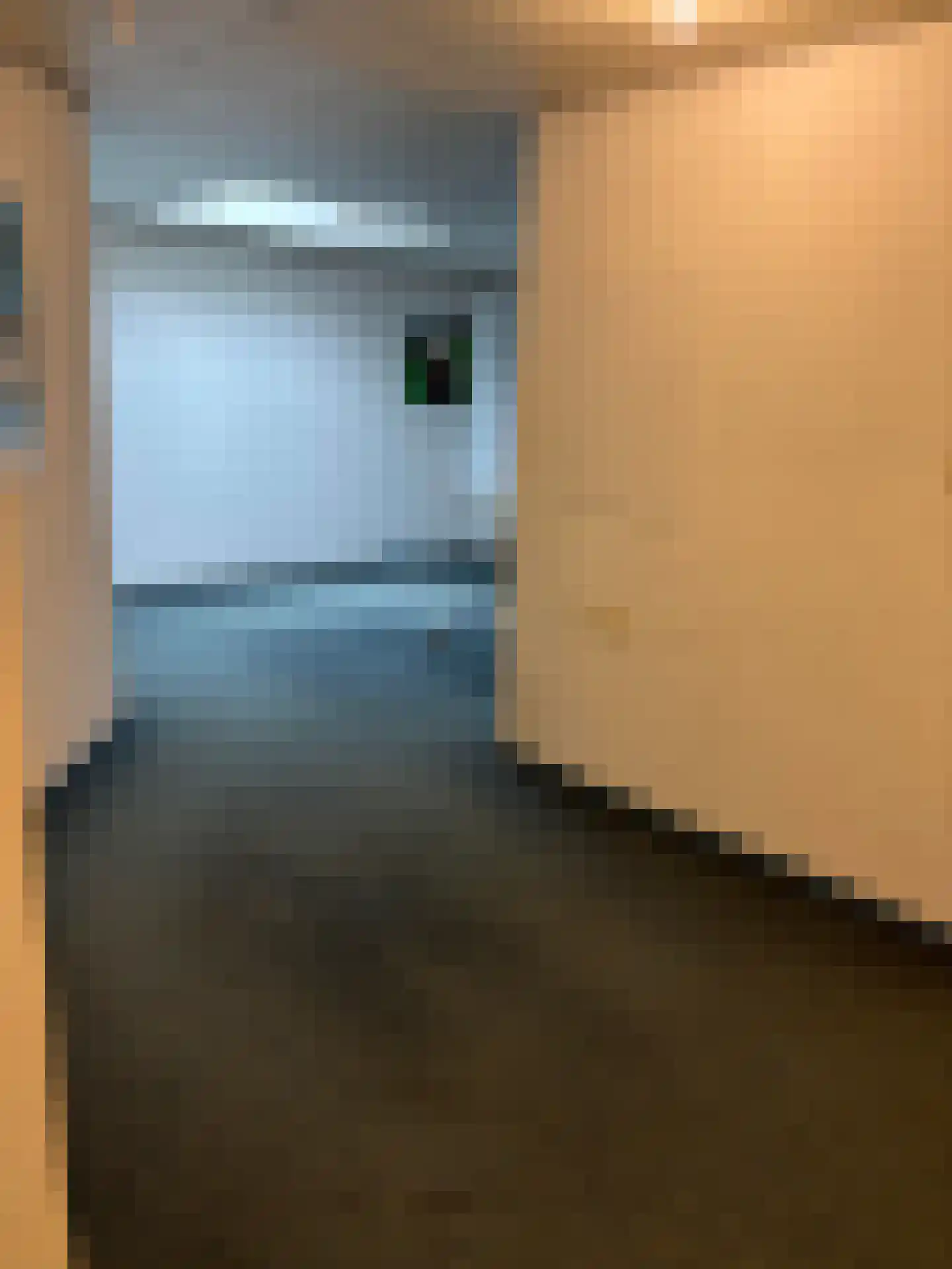 Kroatenstraat 2 Volkel thumbnail 30