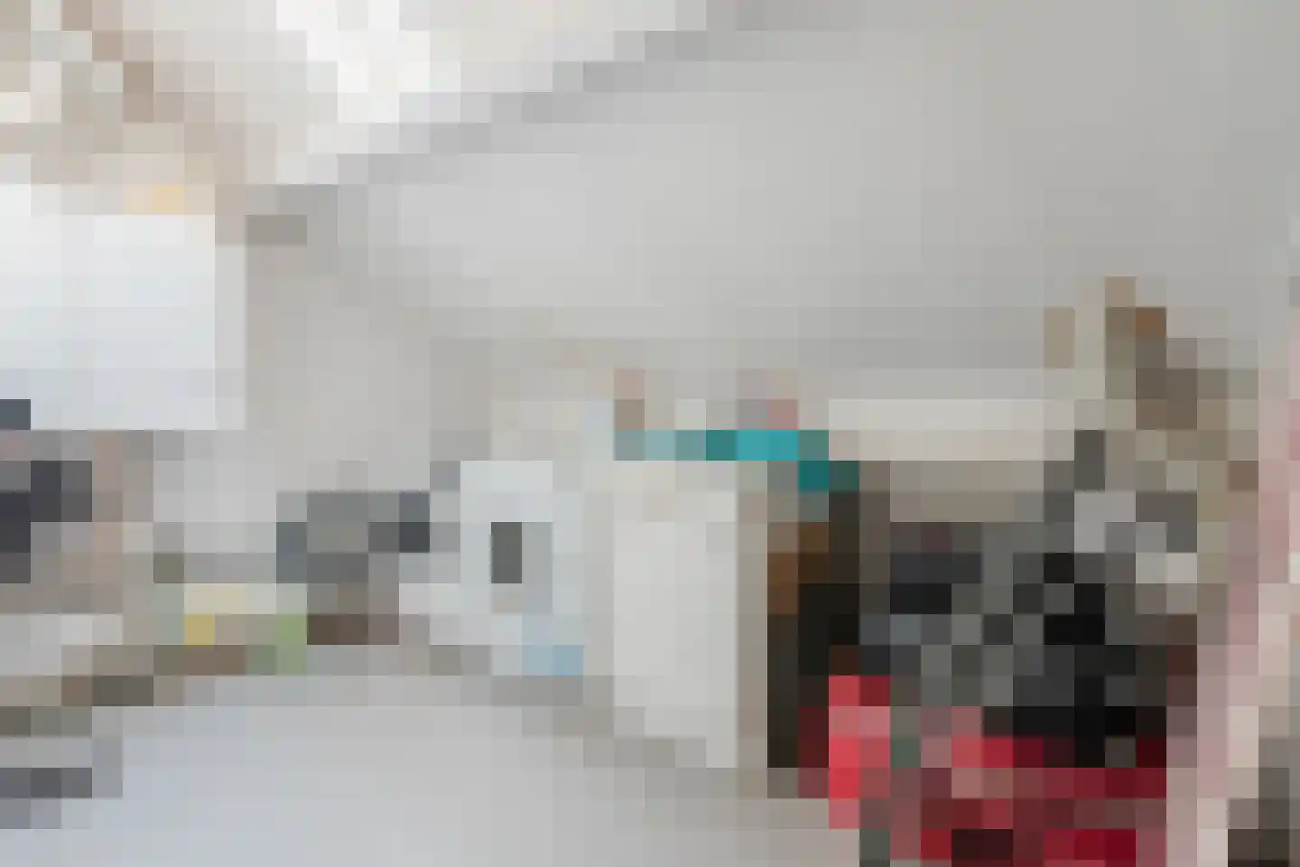 Kroatenstraat 2 Volkel thumbnail 55
