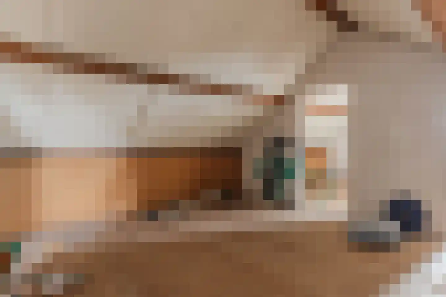 Kroatenstraat 2 Volkel thumbnail 59