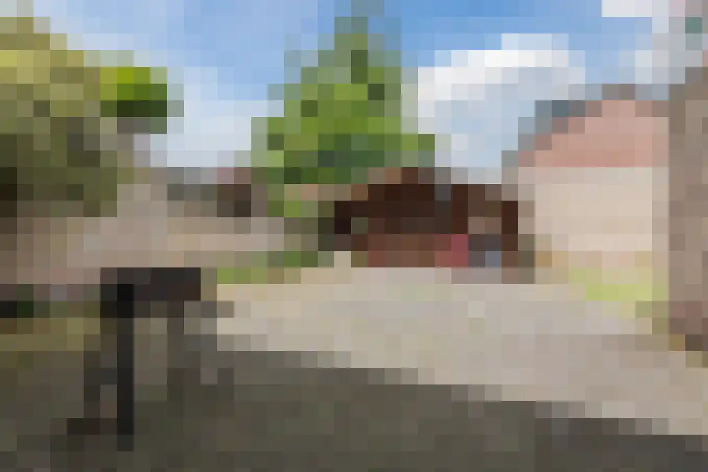 Kroatenstraat 2 Volkel thumbnail 63