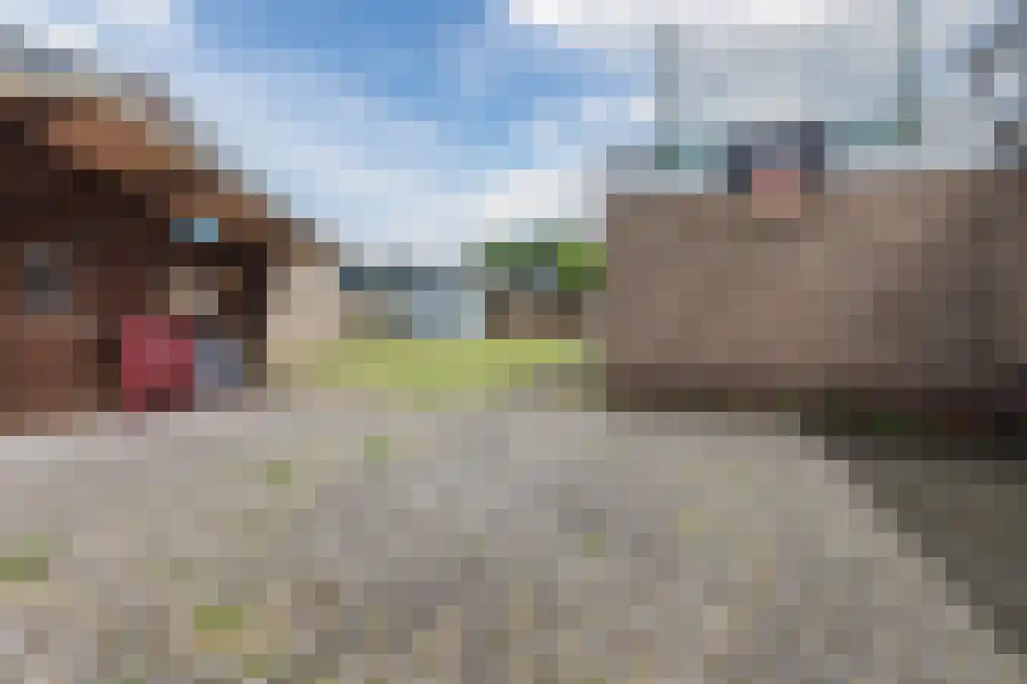 Kroatenstraat 2 Volkel thumbnail 64