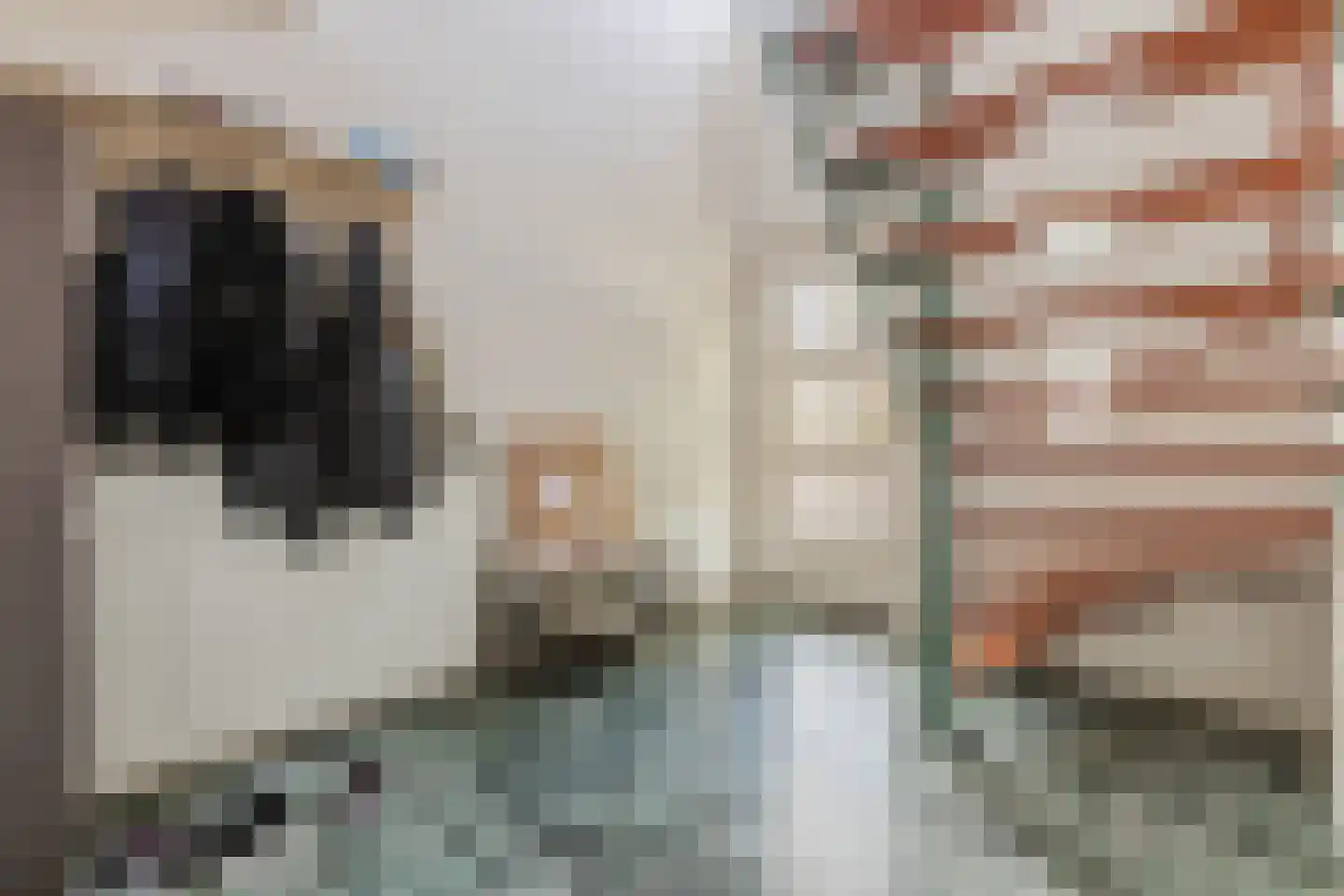 Kroatenstraat 2 Volkel thumbnail 7