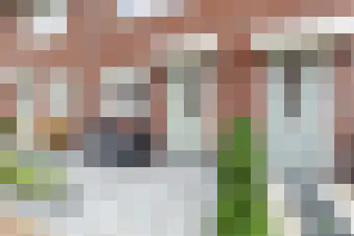 Kroatiëstraat 11 De Lier thumbnail 30