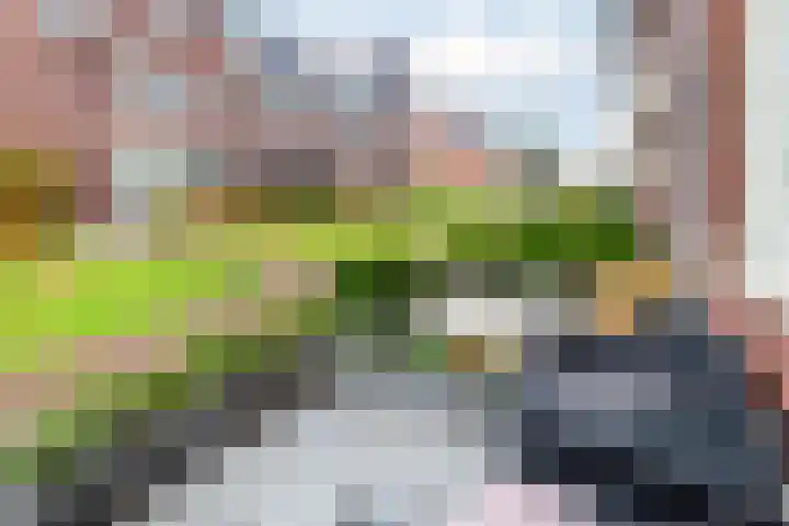 Kroatiëstraat 11 De Lier thumbnail 32