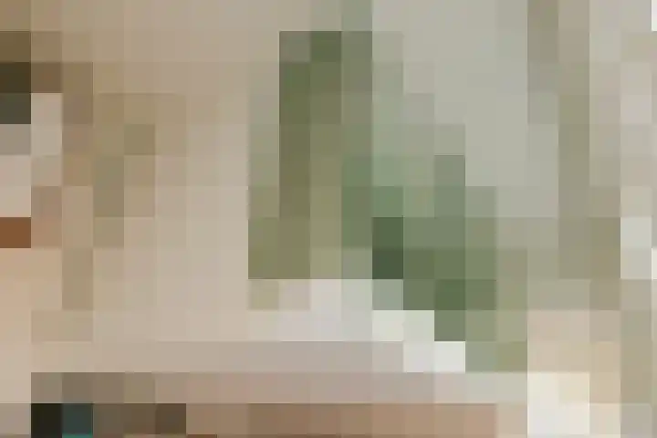 Krocht 1 Haarlem thumbnail 10