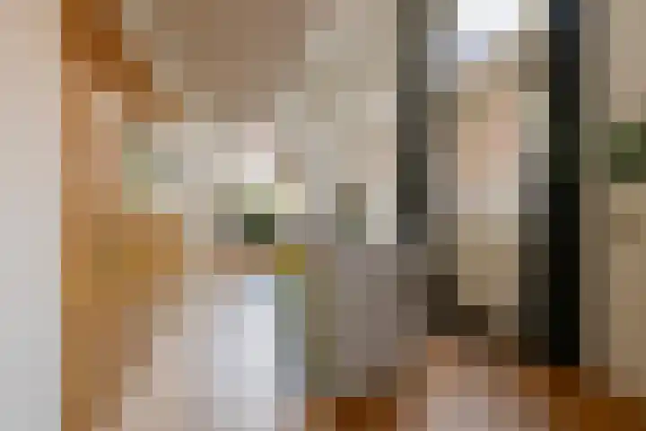 Krocht 1 Haarlem thumbnail 13