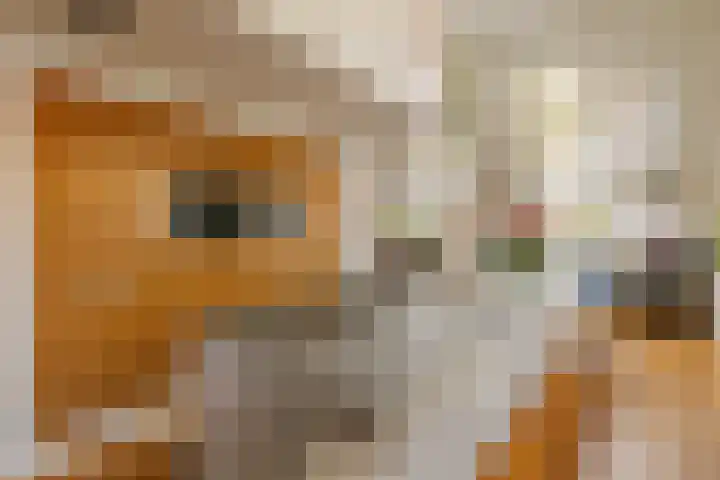 Krocht 1 Haarlem thumbnail 16