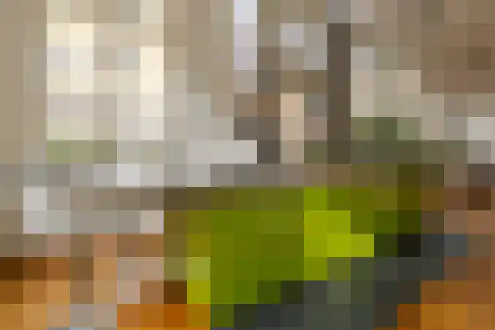 Krocht 1 Haarlem thumbnail 18