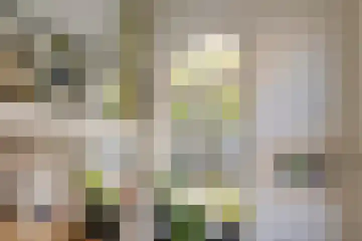 Krocht 1 Haarlem thumbnail 20