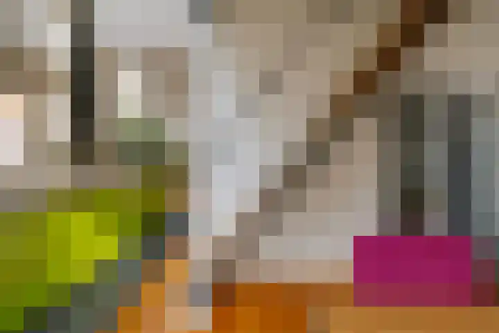 Krocht 1 Haarlem thumbnail 22
