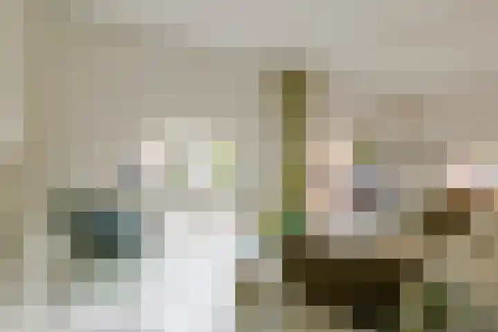 Krocht 1 Haarlem thumbnail 24