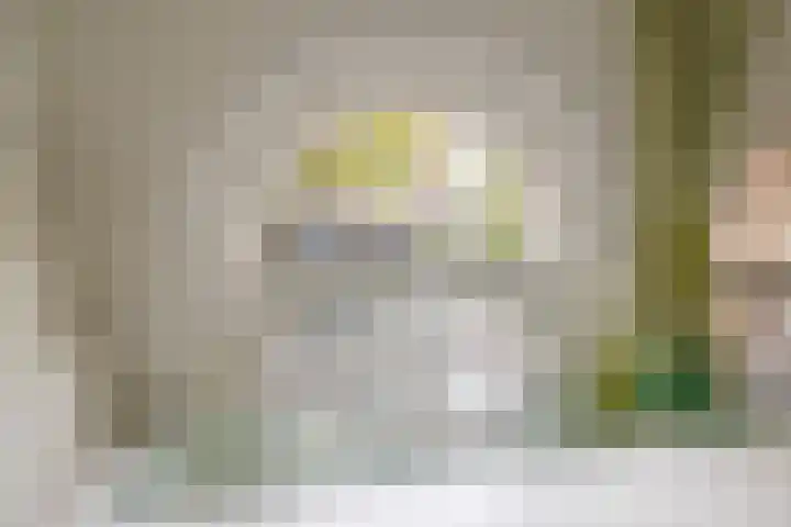 Krocht 1 Haarlem thumbnail 25