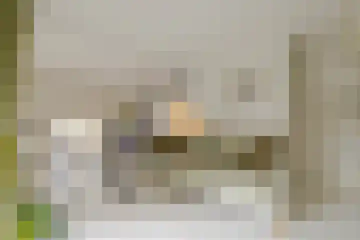 Krocht 1 Haarlem thumbnail 26