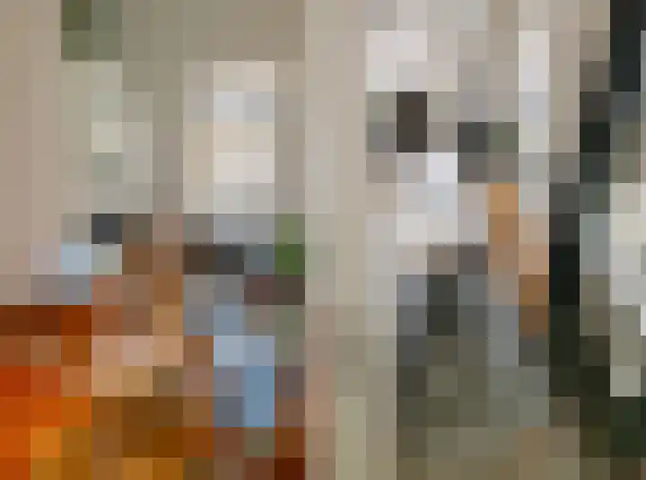 Krocht 1 Haarlem thumbnail 34
