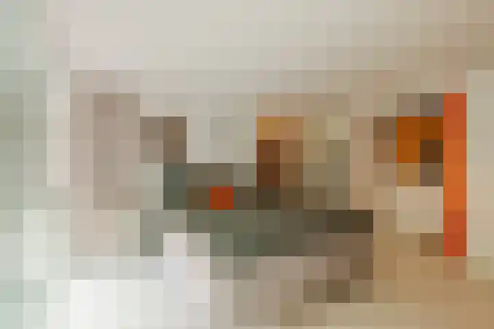Krocht 1 Haarlem thumbnail 4