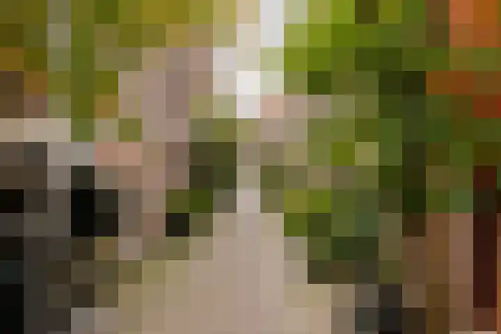 Krocht 1 Haarlem thumbnail 41