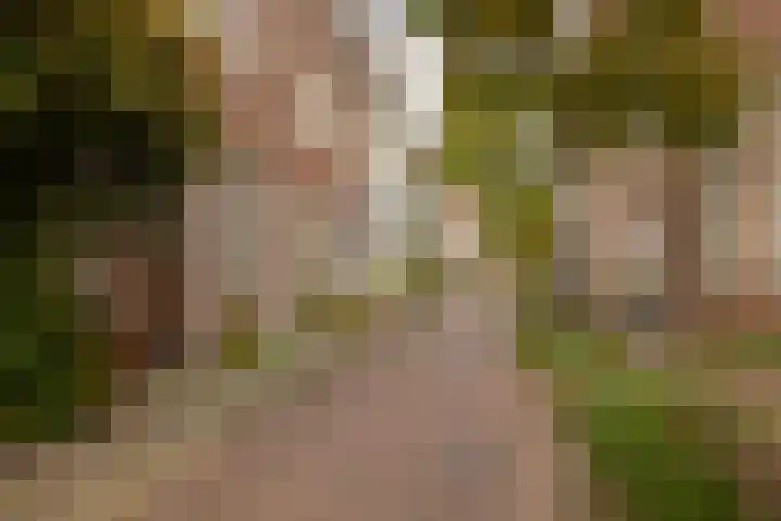 Krocht 1 Haarlem thumbnail 42