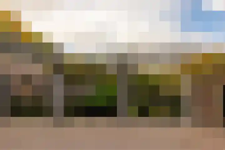 Krocht 1 Haarlem thumbnail 43