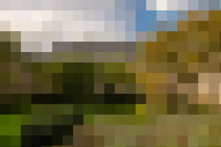 Krocht 1 Haarlem thumbnail 44
