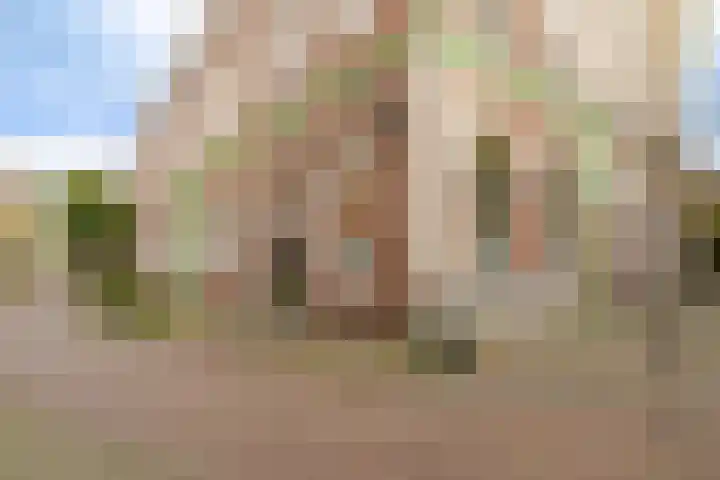 Krocht 1 Haarlem thumbnail 5