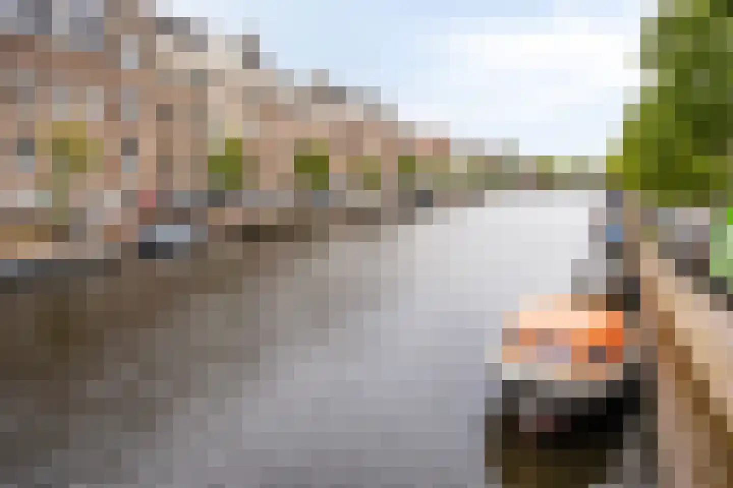Krocht 17 Haarlem thumbnail 29