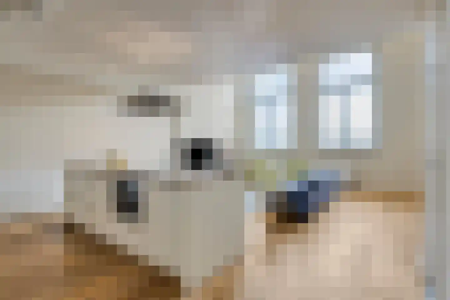Krocht 17 Haarlem thumbnail 7