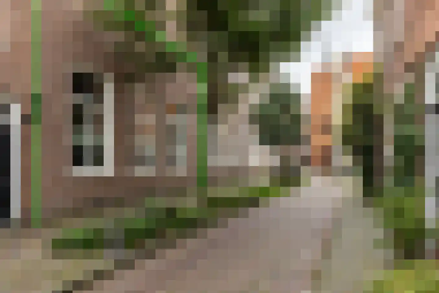 Krocht 5 Haarlem thumbnail 35