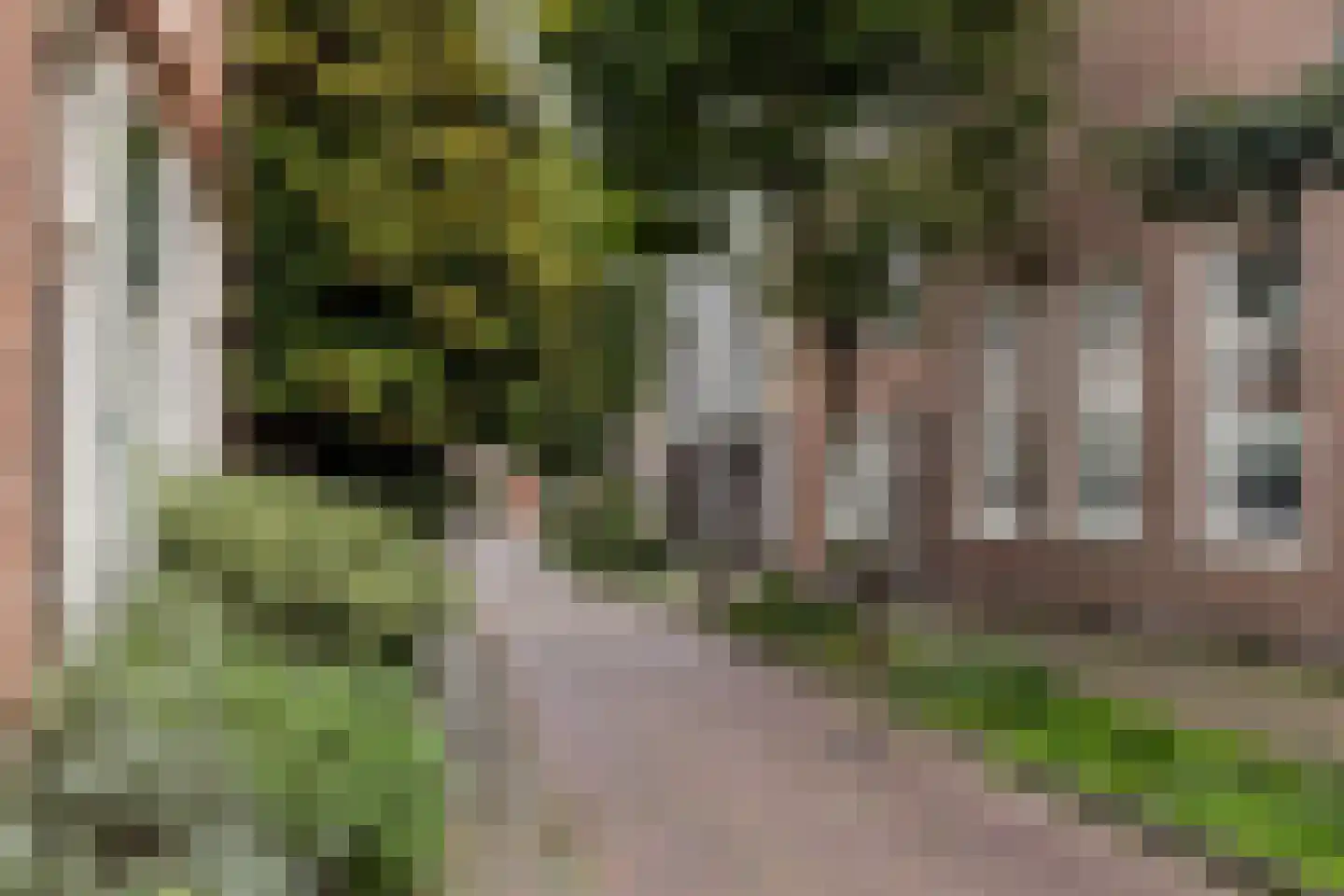 Krocht 5 Haarlem thumbnail 36