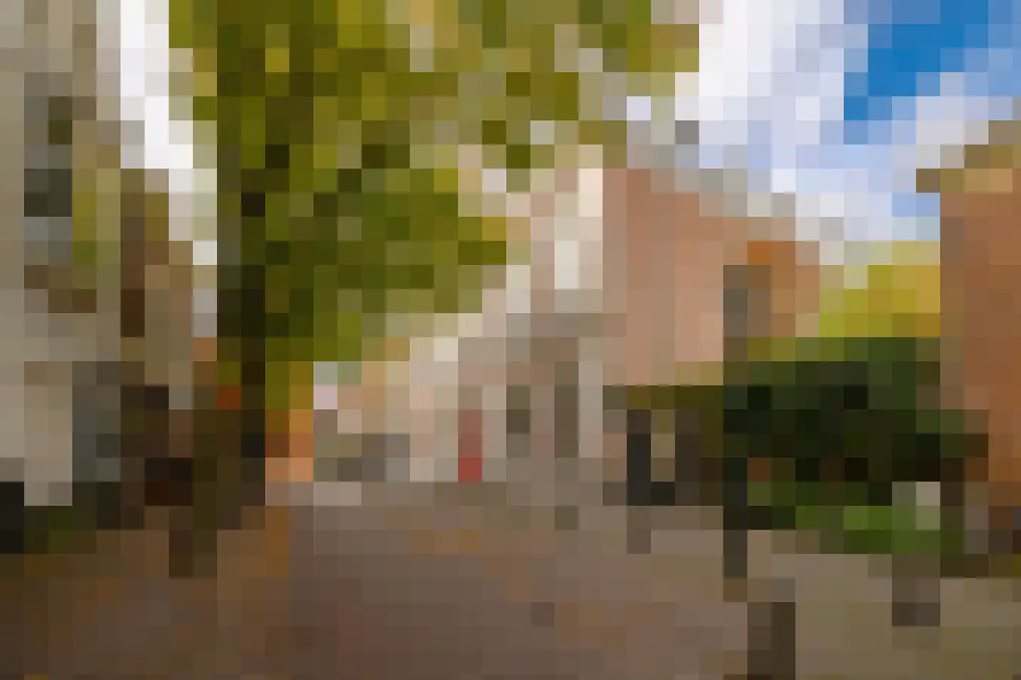 Krocht 5 Haarlem thumbnail 37