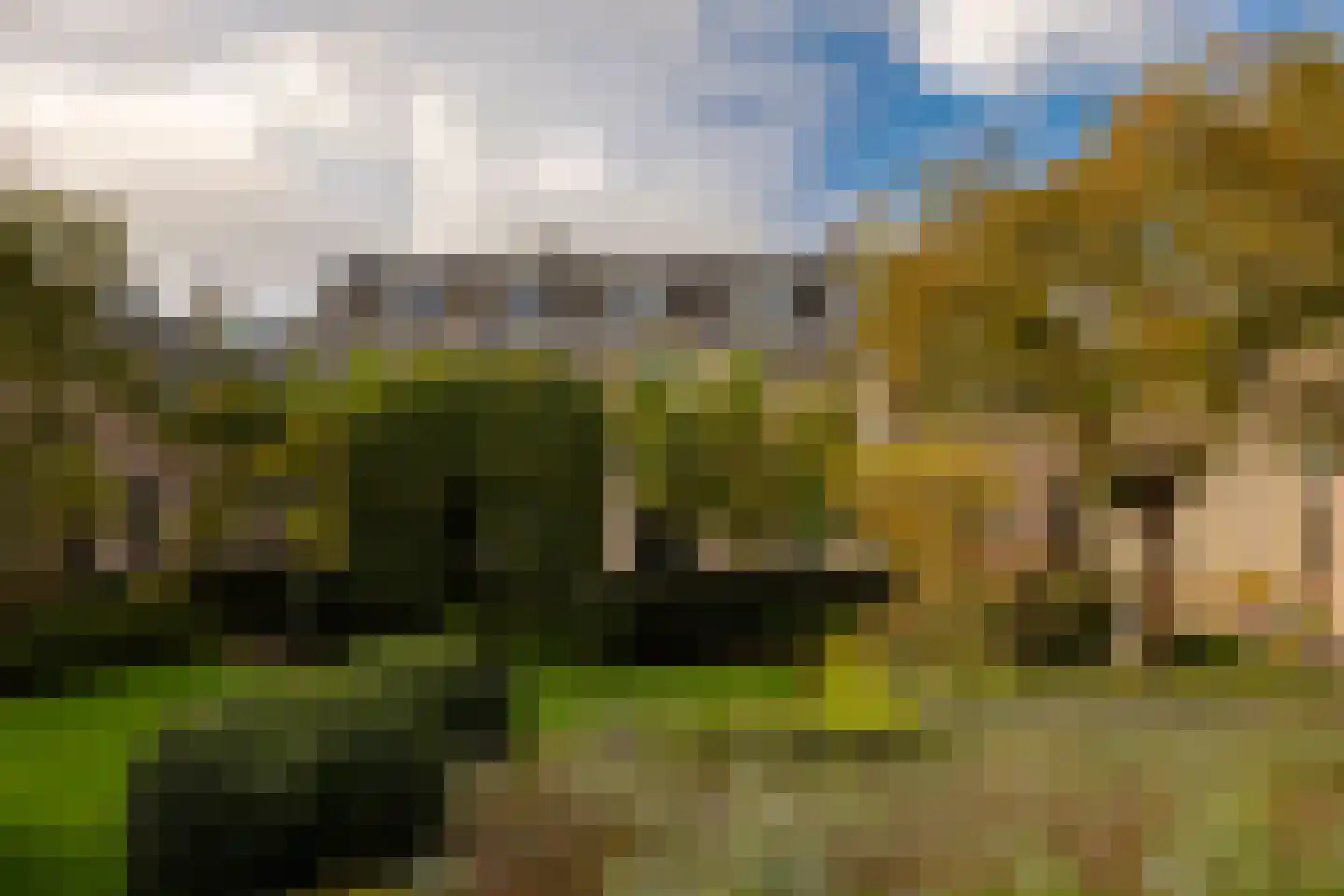 Krocht 5 Haarlem thumbnail 40