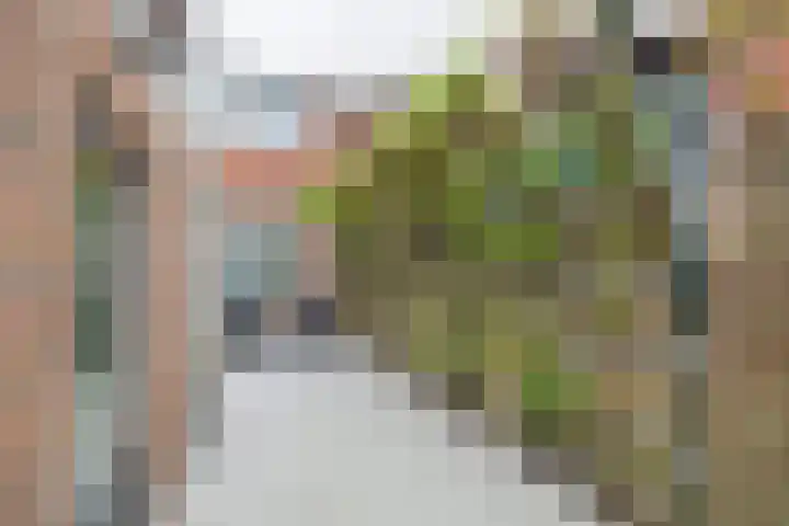 Krochtstraat 13 Hillegom thumbnail 26