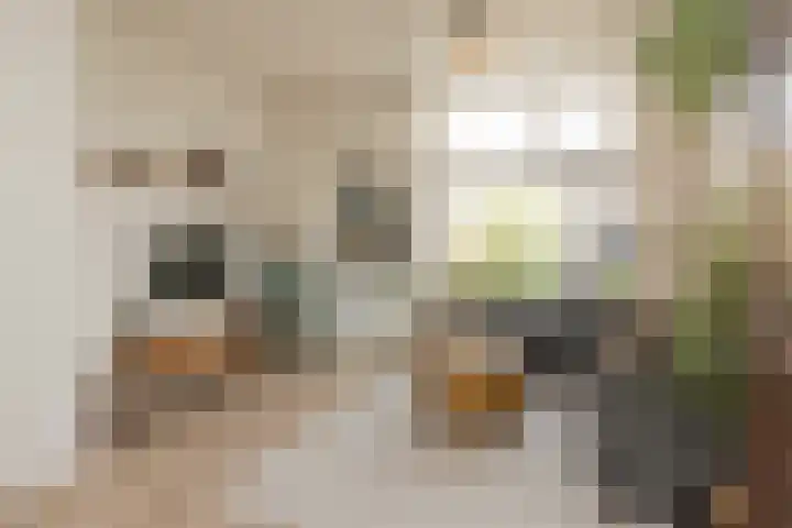 Krochtstraat 27 Hillegom thumbnail 10