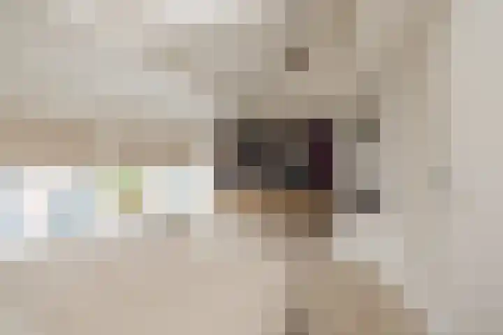 Krochtstraat 27 Hillegom thumbnail 31